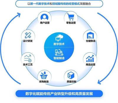 構(gòu)建高效、可持續(xù)的數(shù)字生態(tài)系統(tǒng) 標(biāo)桿項(xiàng)目實(shí)施辦法與數(shù)字技術(shù)服務(wù)路徑